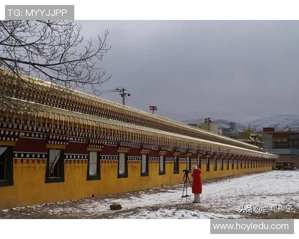 探索玛丽港的魅力之旅:自然风光与人文景观的完美融合